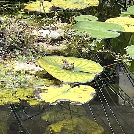 Manoir - Domaine Lassalle Saint-creac Guest house