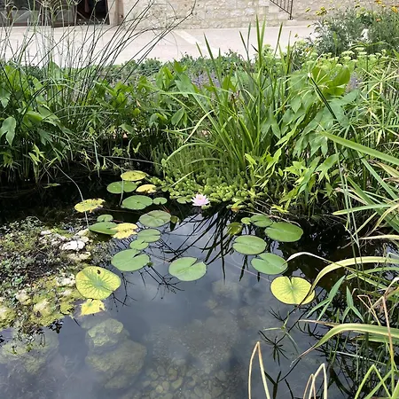 Manoir - Domaine Lassalle Saint-creac Guest house Saint-Creac (Gers)