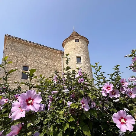 Manoir - Domaine Lassalle Saint-créac *