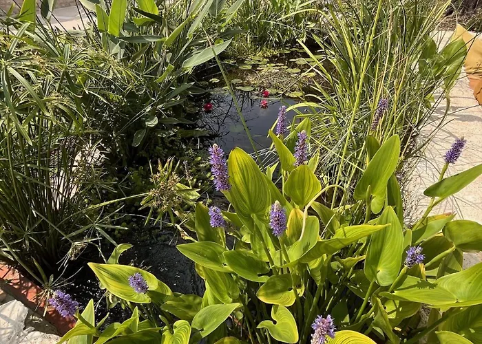 بيت ضيافة Manoir - Domaine Lassalle Saint-creac