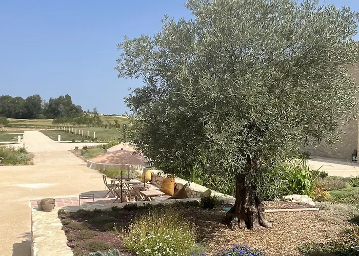 Manoir - Domaine Lassalle Saint-creac بيت ضيافة Saint-Creac (Gers)