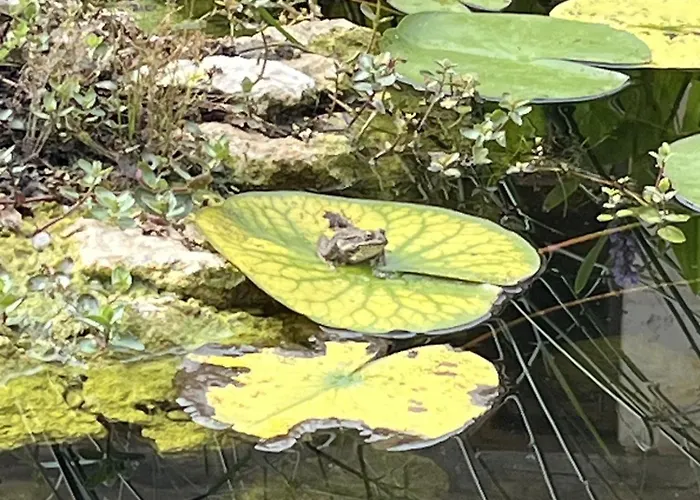 Manoir - Domaine Lassalle Saint-creac بيت ضيافة