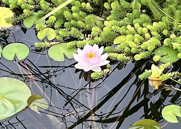 Manoir - Domaine Lassalle Saint-creac بيت ضيافة