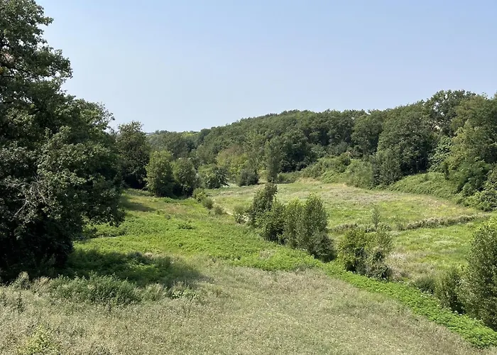 بيت ضيافة Manoir - Domaine Lassalle Saint-creac *