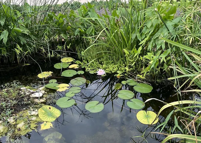 Manoir - Domaine Lassalle Saint-creac بيت ضيافة Saint-Creac (Gers)